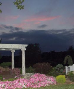 Evening Garden