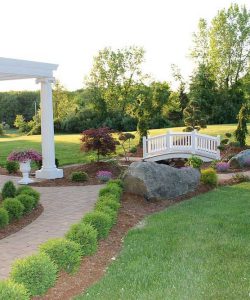 Wedding Venue